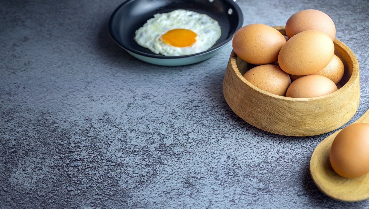 Cuánto tiempo tarda una gallina en poner huevos