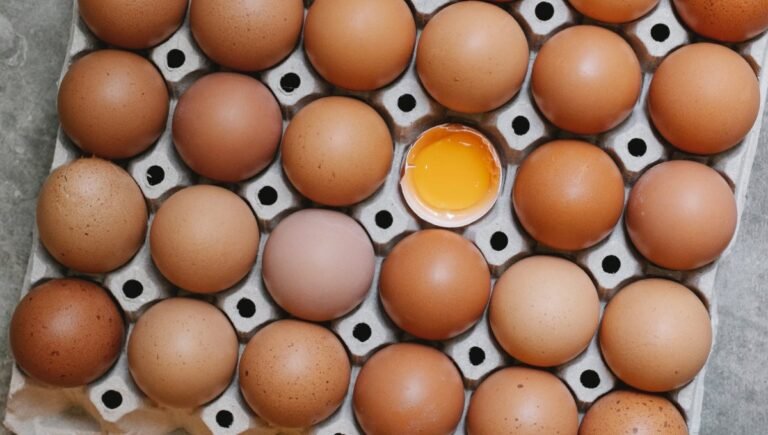 Inicia tu granja de huevos camperos, granja de huevos cage free