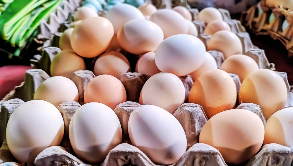 huevos de gallina ponedora ecológica