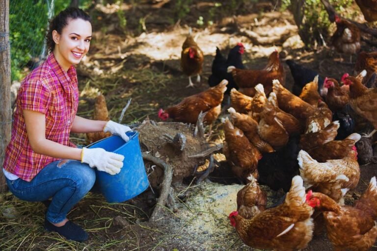 Descubre los beneficios de criar aves de forma ecológica