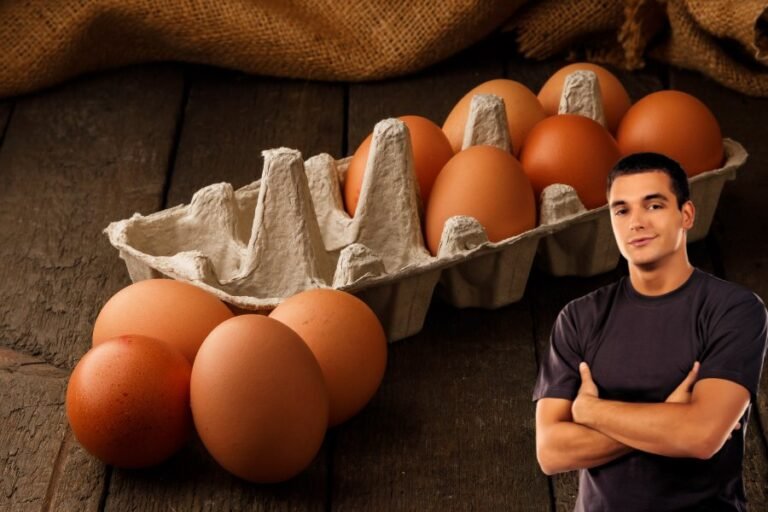 Inicia tu negocio de huevos camperos con estrategia